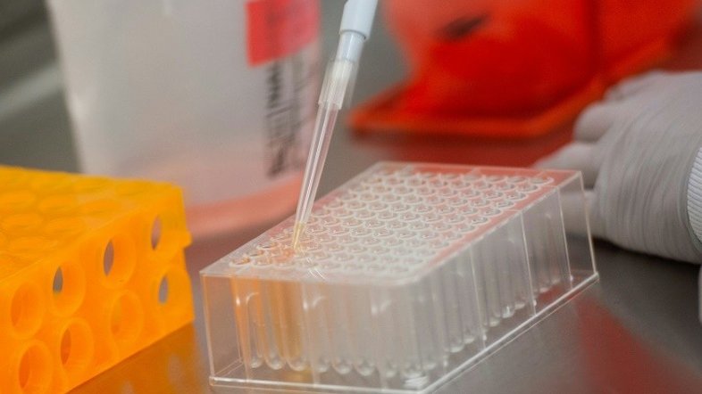 Pressionados a desenvolver uma vacina, laboratórios tentam se proteger na Europa