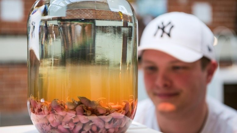 Vinho de excrementos e vodca com escorpião em exposição de bebidas exóticas na Suécia