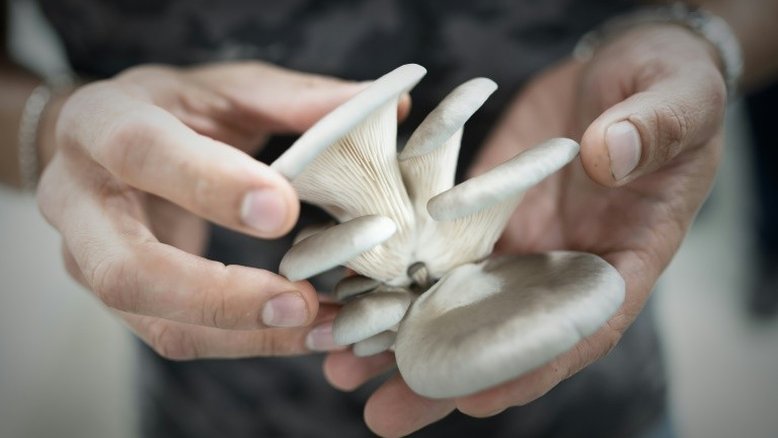 Suicídio de chef japonês agita a esfera gastronômica francesa
