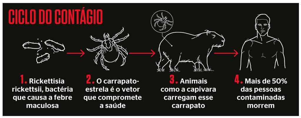 Mácula perigosa - ISTOà Independente