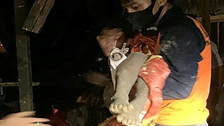 Onze mortos, entre eles dois bebês gêmeos, em deslizamento de terra na Indonésia