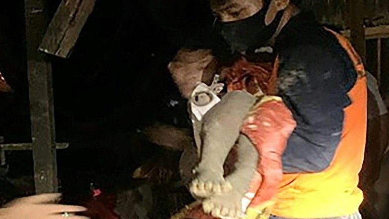 Onze mortos, entre eles dois bebês gêmeos, em deslizamento de terra na Indonésia