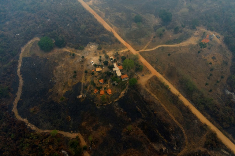 Área do Pantanal atingida por incêndios pode levar até 50 anos para se regenerar