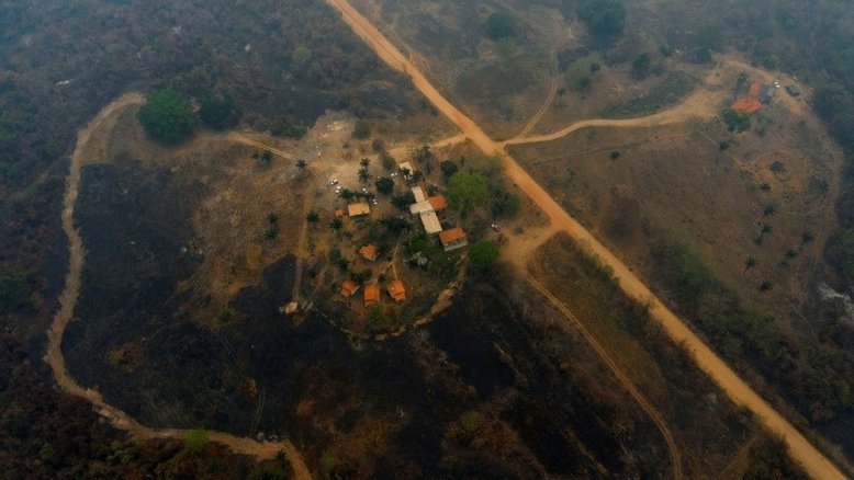 Área do Pantanal atingida por incêndios pode levar até 50 anos para se regenerar