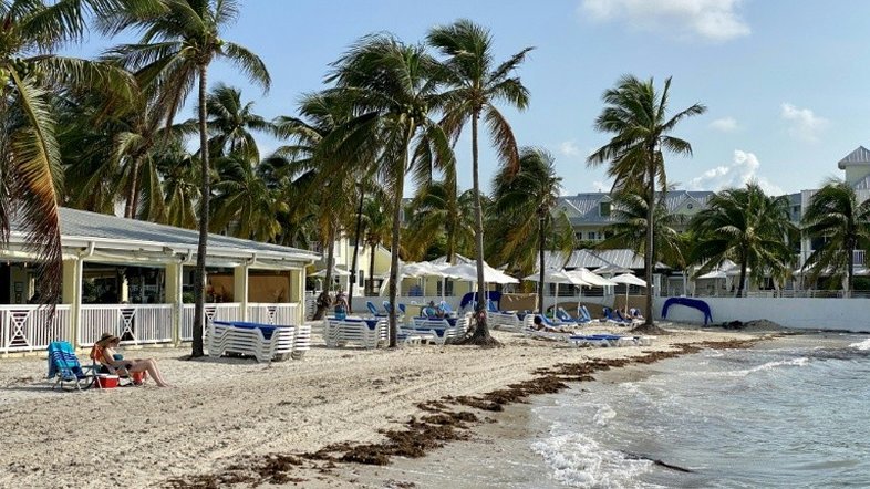 Quase 200 mortos de coronavírus na  Flórida entre críticas por reabertura da economia