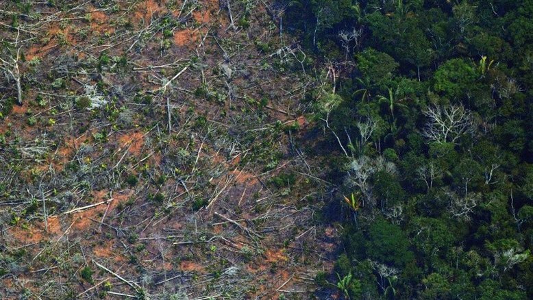 Deflagrada operação da PF contra o tráfico de diamantes em terra indígena