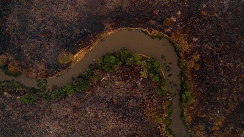 Regeneração do Pantanal pode levar em torno de 50 anos, diz pesquisadora