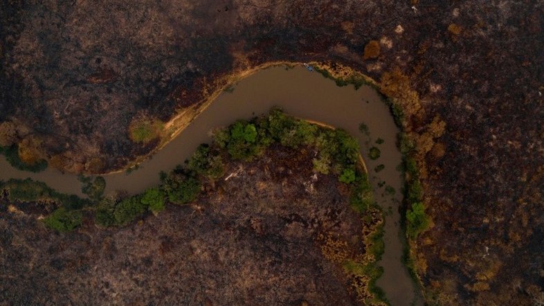 Regeneração do Pantanal pode levar em torno de 50 anos, diz pesquisadora
