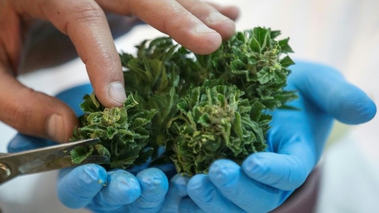 Homens usam drone para jogar maconha nas ruas de Tel Aviv
