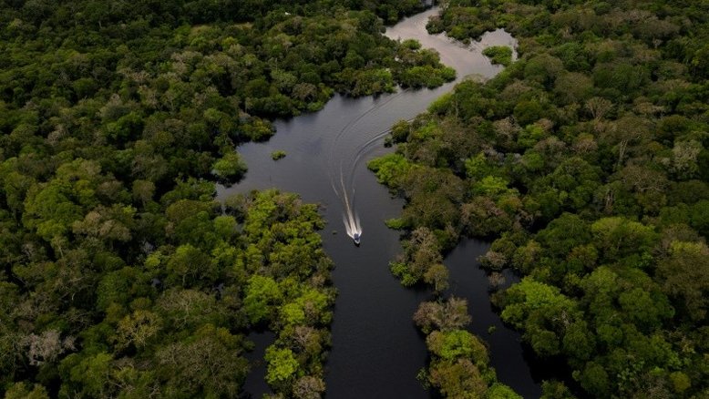 Para 95% dos brasileiros, é possível proteger e desenvolver a Amazônia ao mesmo tempo