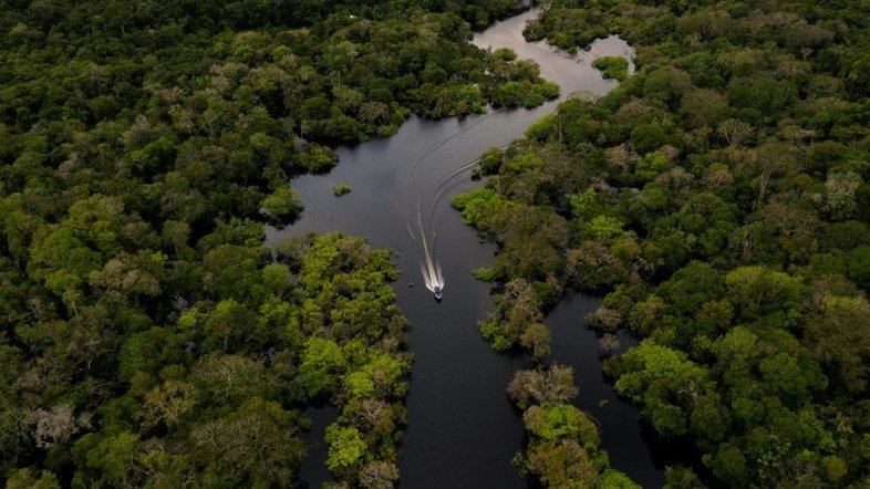 Para 95% dos brasileiros, é possível proteger e desenvolver a Amazônia ao mesmo tempo