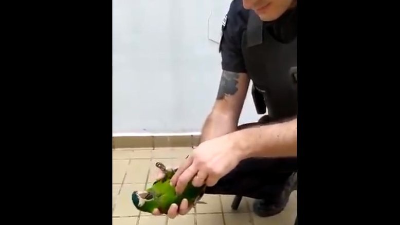 Reprodução Twitter