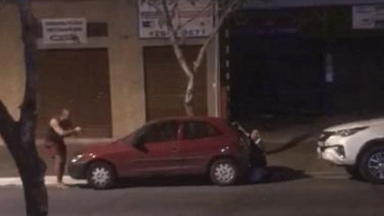 Reprodução
