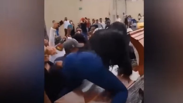 Reprodução