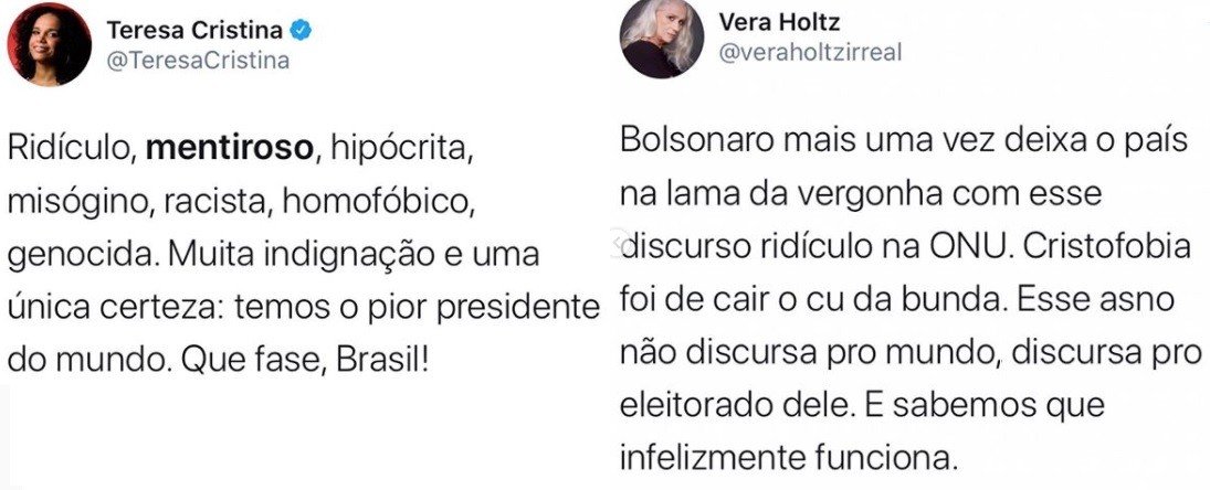 Teresa Cristina e Vera Holtz chamam Bolsonaro de ridículo após discurso sobre o Pantanal 4 Teresa Cristina e Vera Holtz chamam Bolsonaro de ridículo após discurso sobre o Pantanal