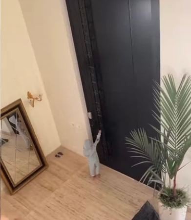 Sertaneja Simone mostra tentativa frustada do filho de abrir porta de mansão e se diverte