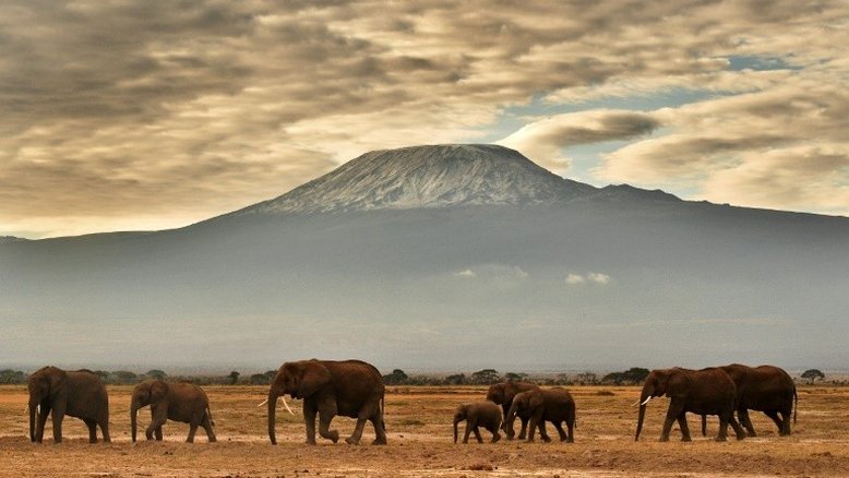 Tanzânia controla incêndio no Kilimanjaro