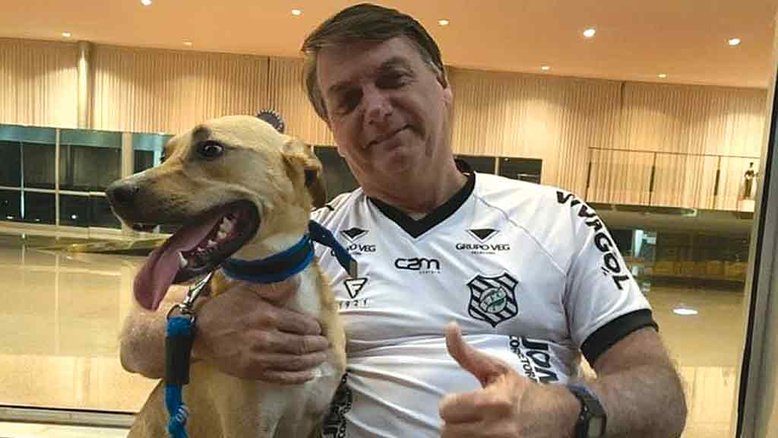 Reprodução