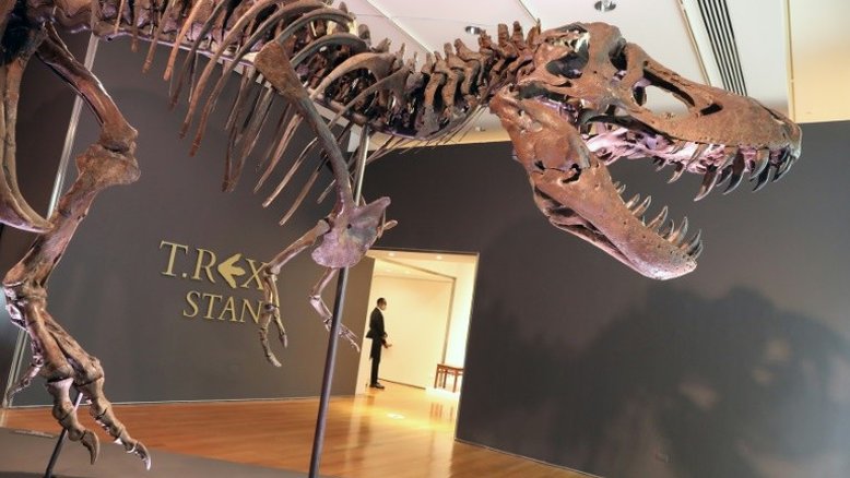 Fóssil de T-Rex é vendido por valor recorde de US$ 31,8 milhões
