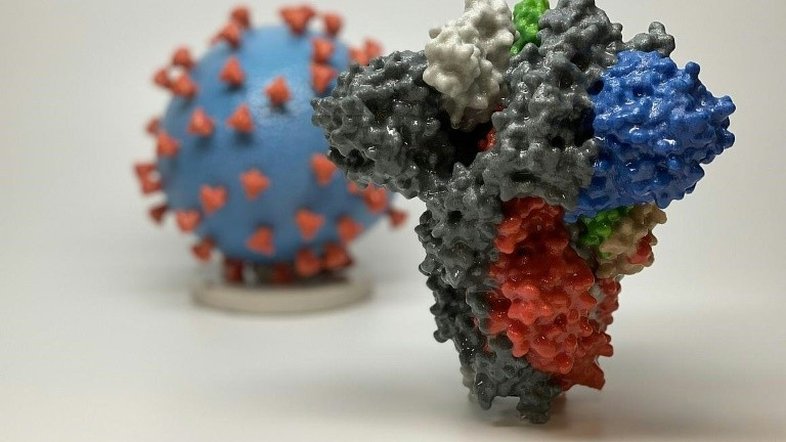 National Institutes of Health/AFP/Arquivos