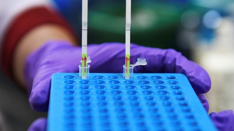 Cientistas indianos desenvolvem teste rápido e barato para Covid-19