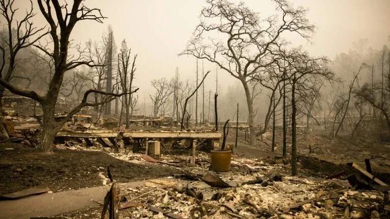 Paraíso vitivinícola reduzido a cinzas por incêndios na Califórnia