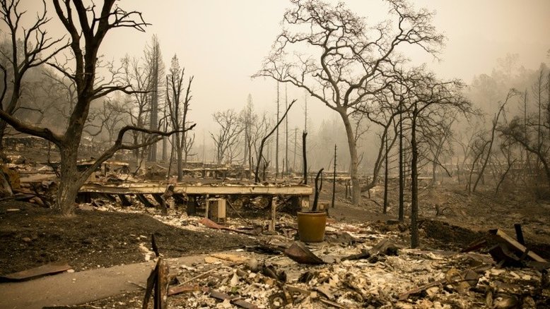 Paraíso vitivinícola reduzido a cinzas por incêndios na Califórnia