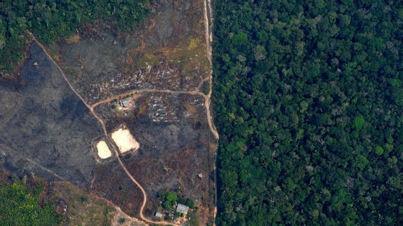 UE quer garantir que objetivos ambientais do acordo com o Mercosul sejam cumpridos