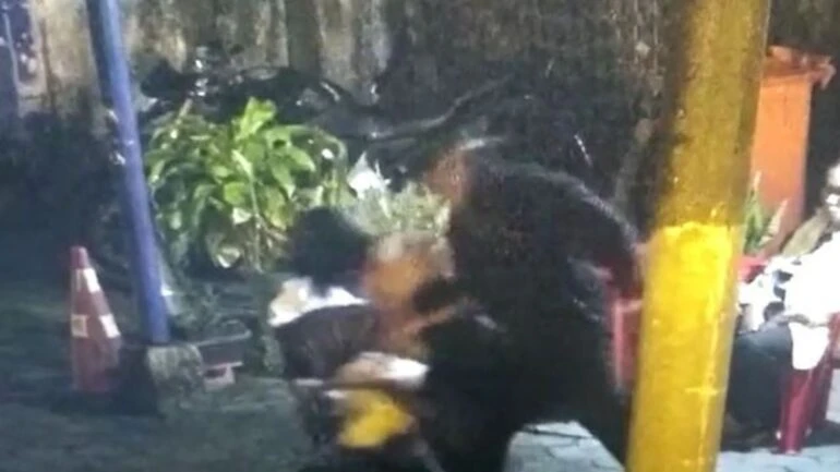 Reprodução