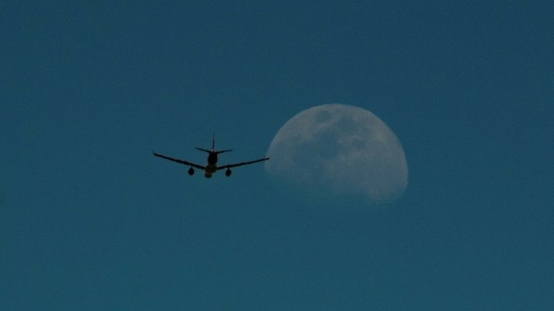 Opas considera desnecessários testes de covid-19 e quarentenas em viagens não essenciais
