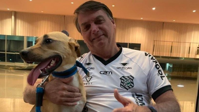 Reprodução