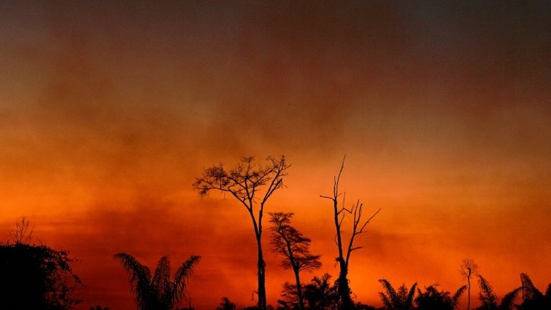 Empresas dos EUA são 'cúmplices' de desmatamento e abusos na Amazônia, diz Amazon Watch