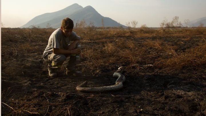 Incêndios no Pantanal: Anjos no Inferno 11 Incêndios no Pantanal: Anjos no Inferno