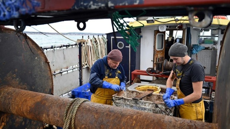 Pescadores britânicos confiam em um acordo pós-brexit que os beneficie