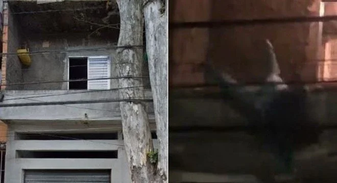 Reprodução/Record TV