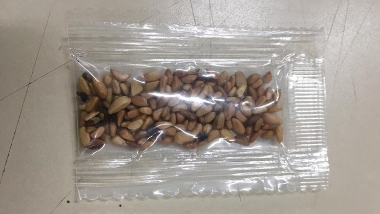 Divulgação/ Ministério da Agricultura