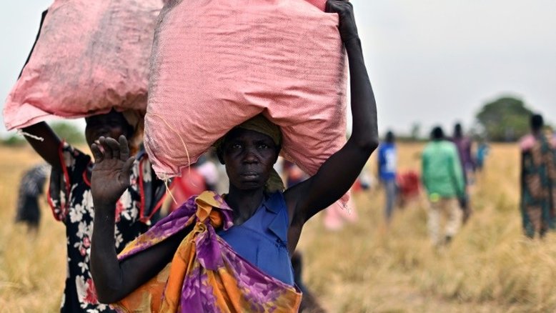 Quatro países ou regiões da África a um passo de cair na fome (ONU)