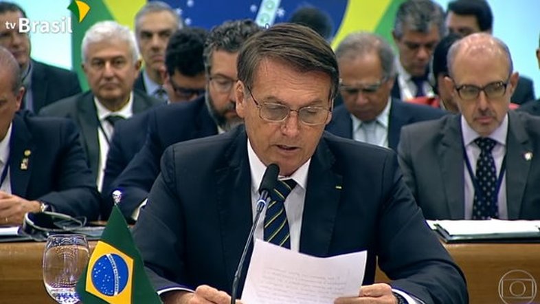 Saiba quais países europeus compraram madeira ilegal do Brasil