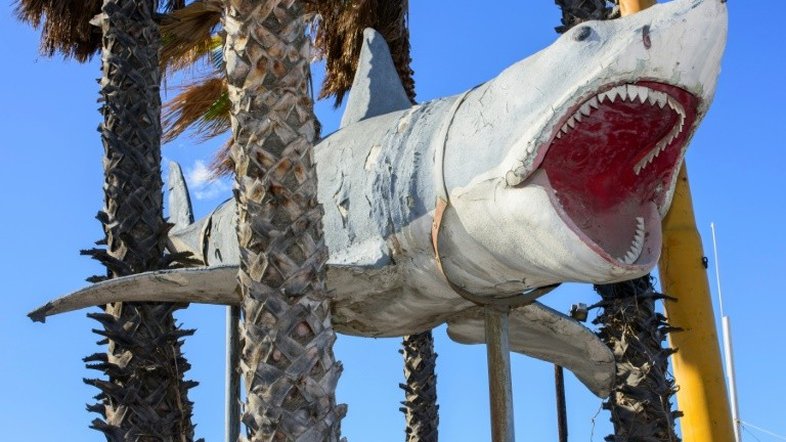 'Tubarão' é instalado em Museu do Oscar em Los Angeles