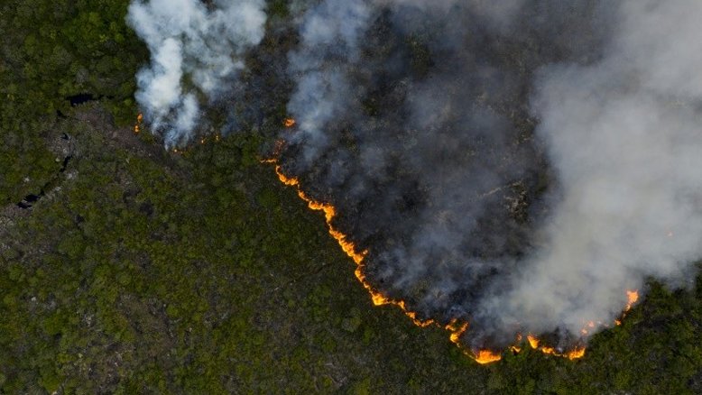 Amazônia brasileira bate segundo recorde de desmatamento em 12 anos
