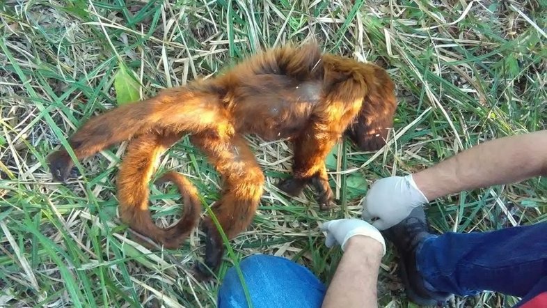 7ª Regional de Saúde/Divulgação