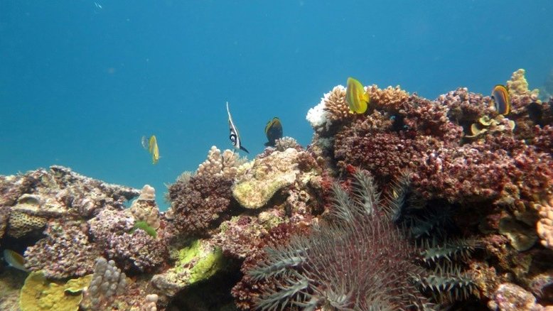 Mudanças climáticas, a maior ameaça para monumentos naturais do planeta