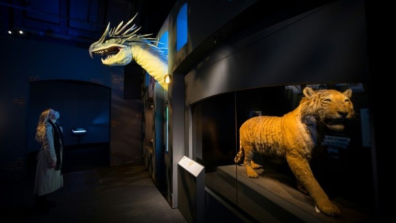 'Animais fantásticos' de J.K. Rowling ganham vida em museu de Londres
