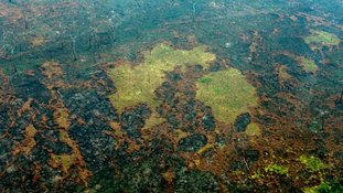 O socorro da Amazônia