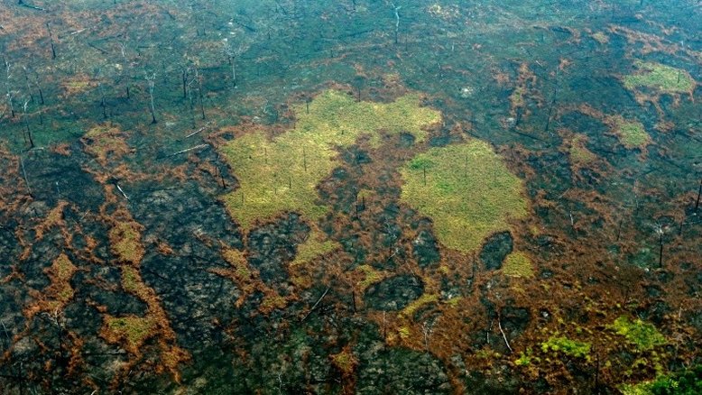 O socorro da Amazônia