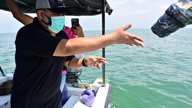 Cientistas rastreiam dejetos plásticos por satélite para limpar oceanos