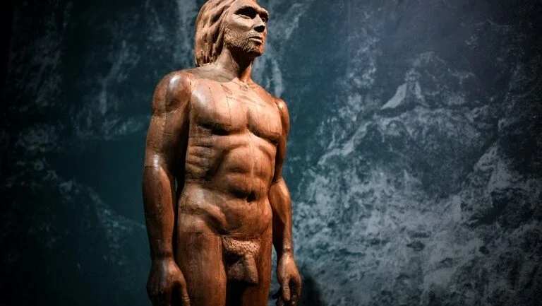 Novo estudo reforça ideia de que neandertais enterravam seus mortos