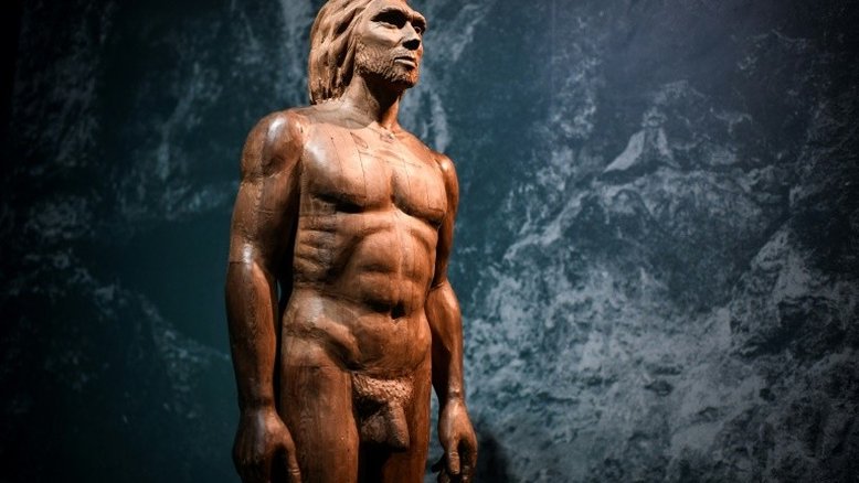 Novo estudo reforça ideia de que neandertais enterravam seus mortos