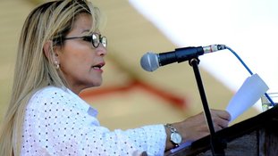 Ex-presidente boliviana culpa partido de Morales por violência de 2019