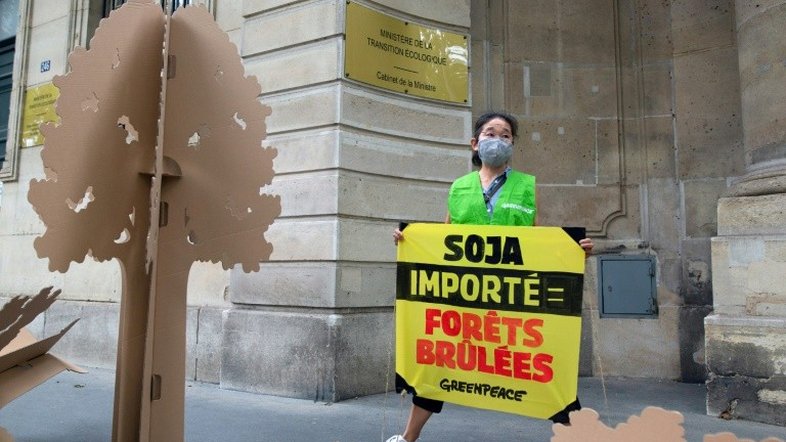 França aumentará produção de proteínas vegetais para reduzir dependência da soja